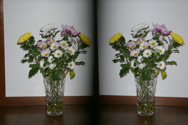 IMGP1590.JPG